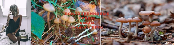 амфетамин Надым