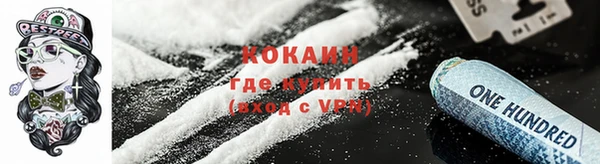 дживик Навашино