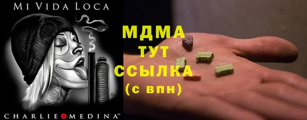 индика Вязьма