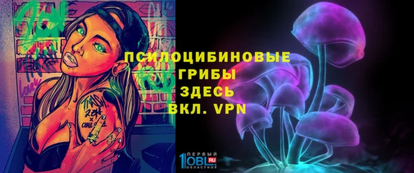 дживик Навашино
