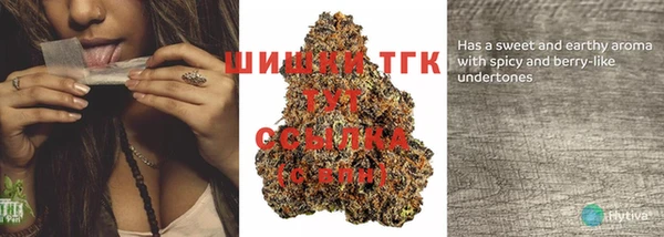 дживик Навашино