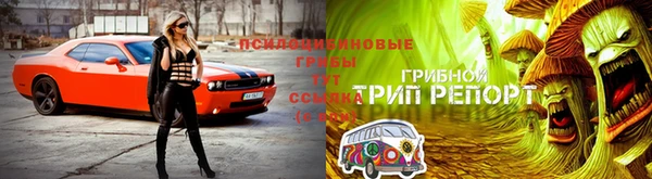 дживик Навашино